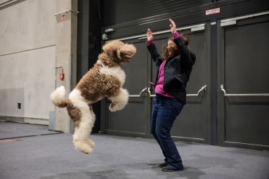 Eine Trainerin mit springendem Hund