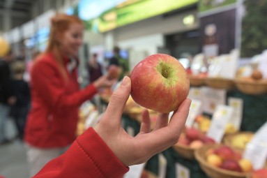 Eine Hand hält einen Apfel.