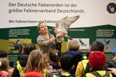 Eine Gruppe Kinder beobachtet eine Mitarbeiterin des Falknerverbands Deutschland mit einem Falken auf dem Arm. 