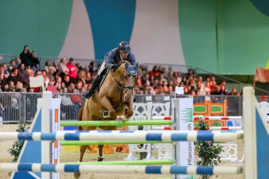 A horse and rider jump over an obstacle as part of Hippologica, the equestrian show of Grüne Woche,
